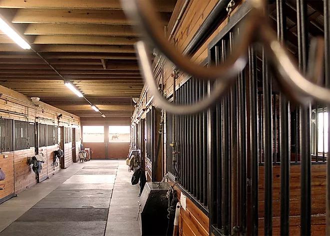 Images North Fork Equestrian