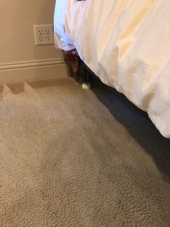 Images Carpet Pro Carpet Cleaning & Dyeing