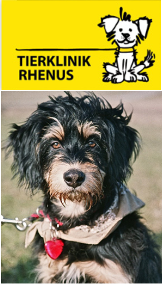 Bilder Tierklinik Rhenus AG