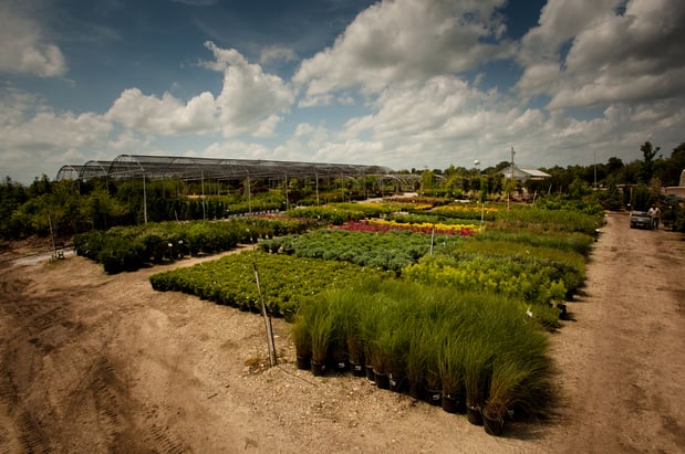 Images Superior Garden Center