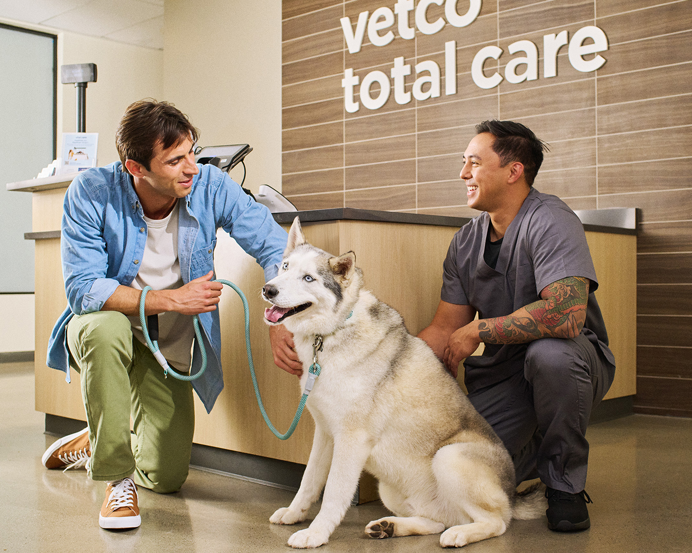 Veterinarian Near You | Vetco Animal Hospital in Hingham, MA