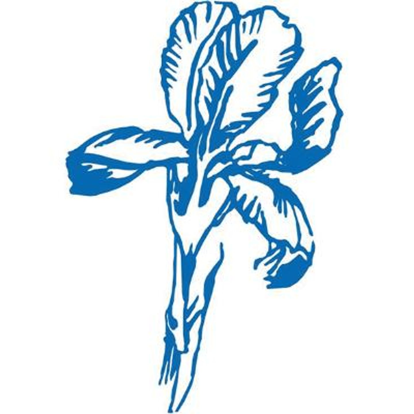 Iris-Apotheke am Eli  