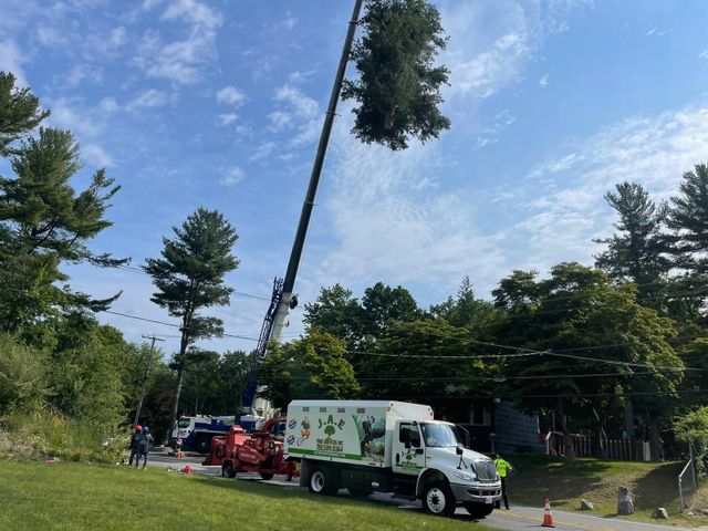 Images JAE Tree Service