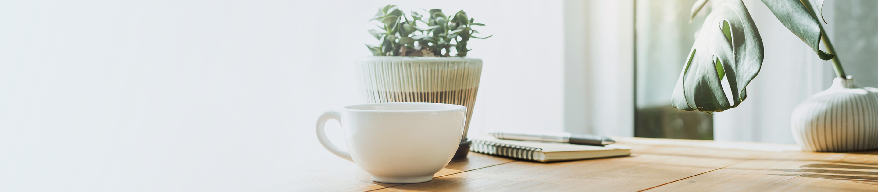 A potted plant, notebook, pen, and mug placed neatly on a desk.