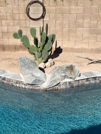 Images Gorilla Pools