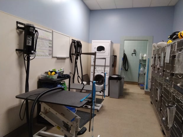 Images Petco Grooming