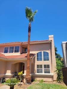 4 Winds Tree Service - Commercial tree care