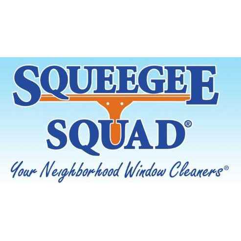 Squeegee Squad - Dekalb County GA