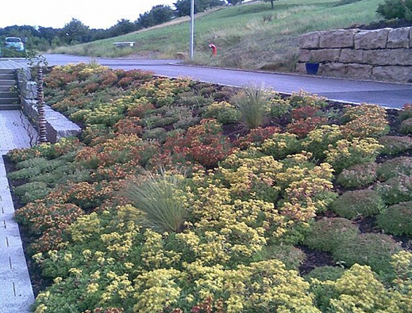 Leuenberger AG Gärtnerei, Baslerstrasse 14 in Laufenburg