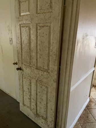 Images TMT Restorations