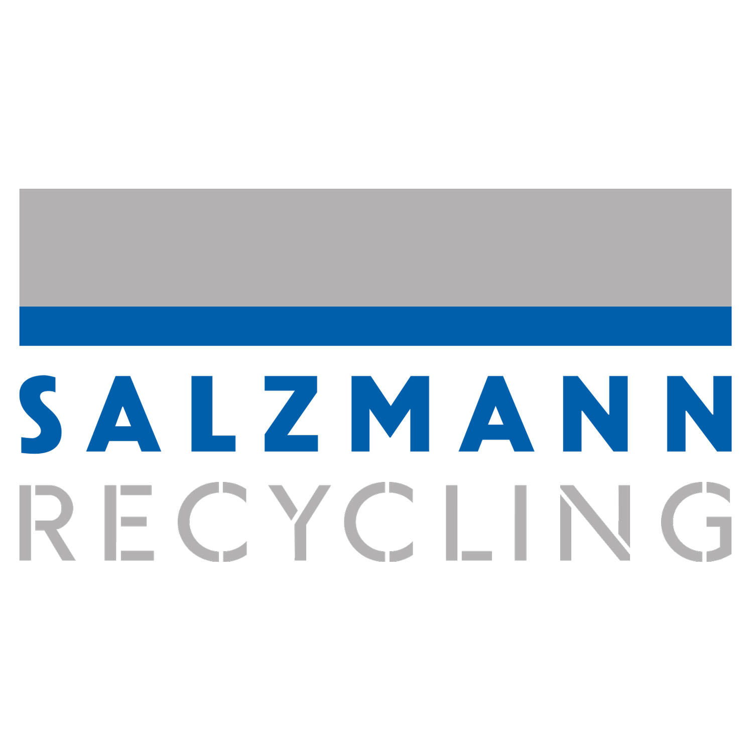 Franz Salzmann AG Logo