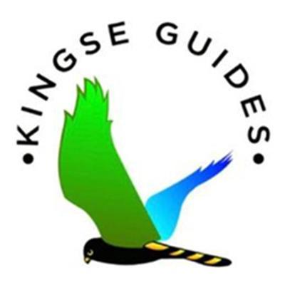 Kingse Guides Surprise (623)633-0027