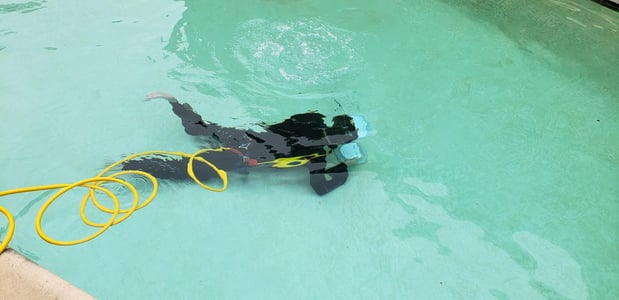 Images Manning Pool Service
