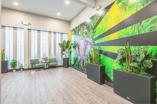 Images La Vida Gardens Dispensary Belleville NJ