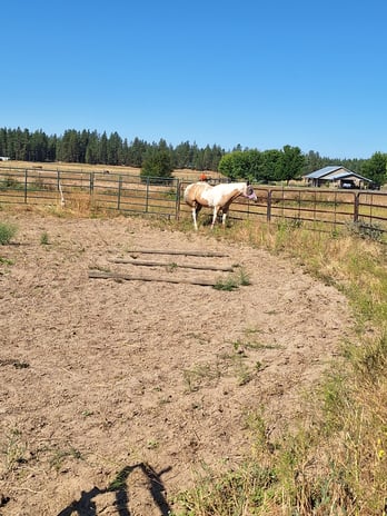 Images Painted Mountain Ranch, LLC