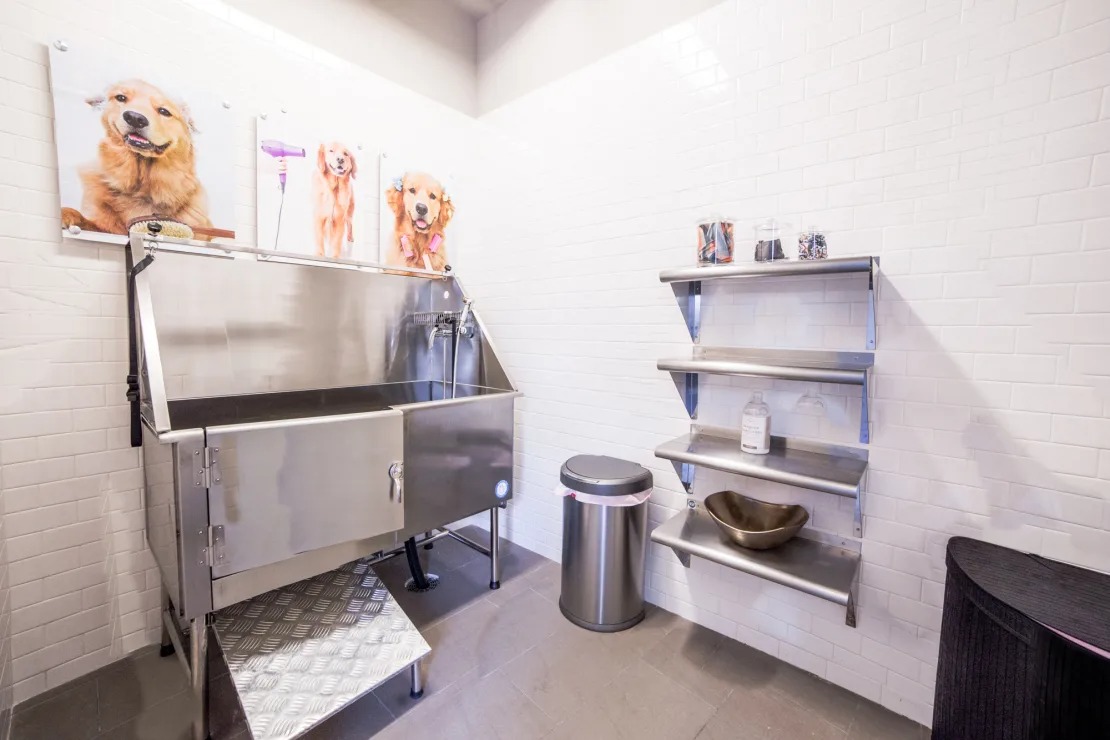 Pet Wash Station 