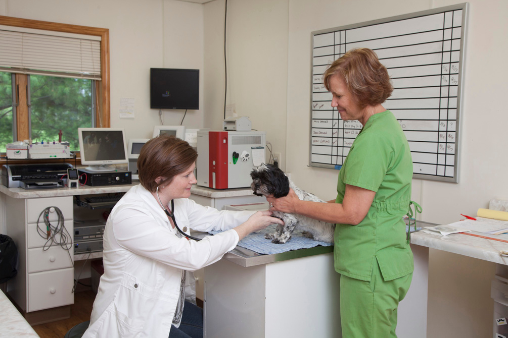 With the help of a veterinary technician, Dr. Phipps listens to the heart and lungs of this precious Spoon River Animal Clinic Canton (309)647-6800