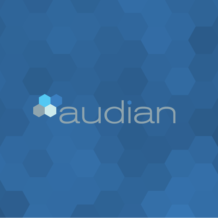 Audian Logo