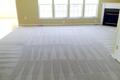 Local carpet cleaning company in Macomb and Oakland County for home and business owners in Southeast, Michigan.