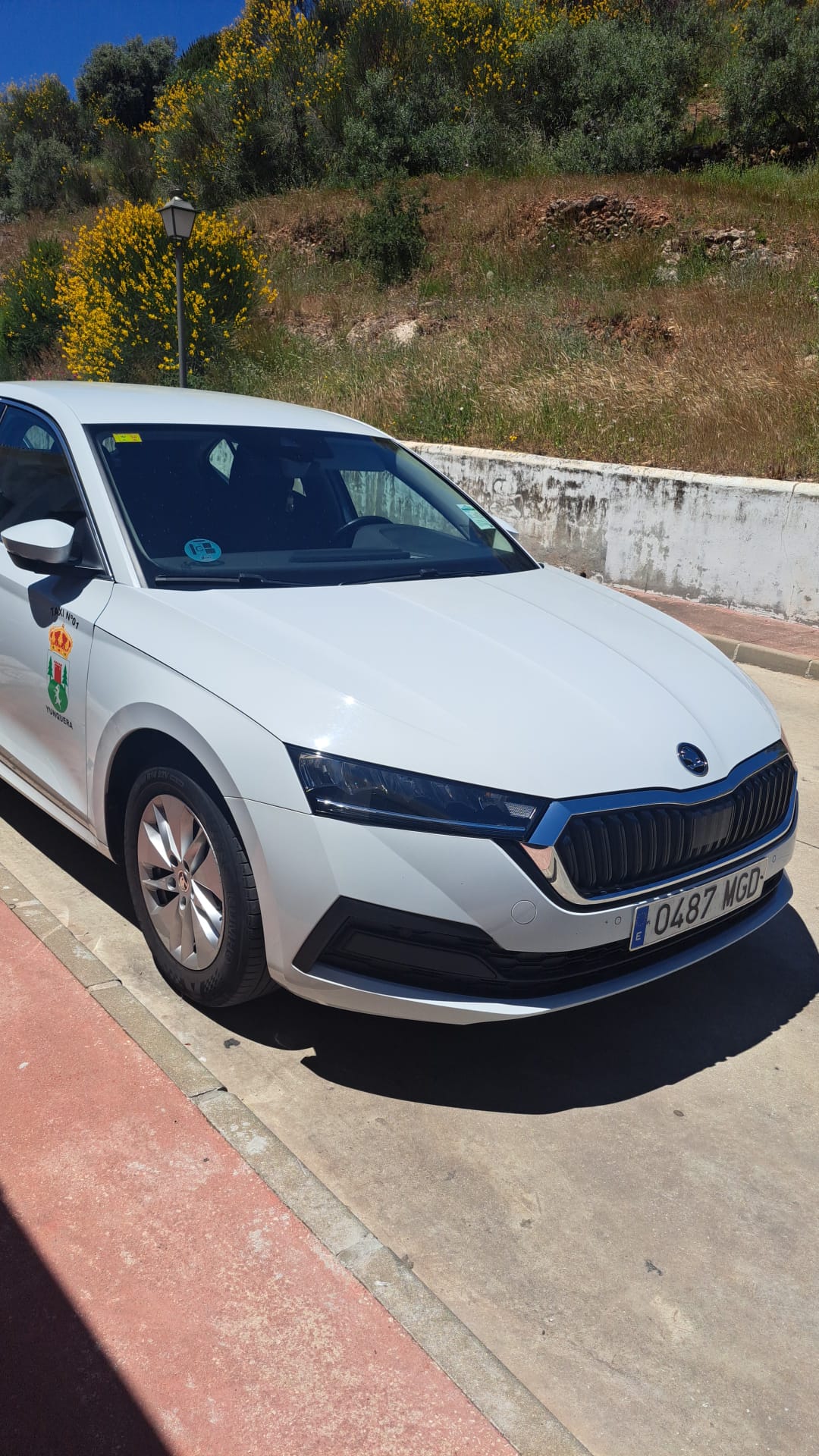 Images Taxi y Transfer Sierra de las Nieves