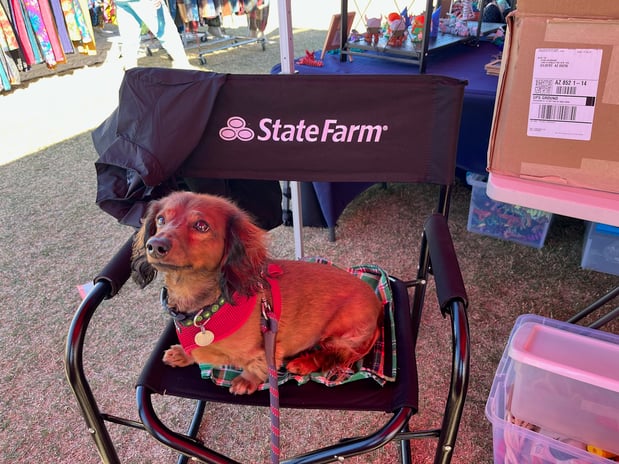 Images Pam Johnson - State Farm Insurance Agent