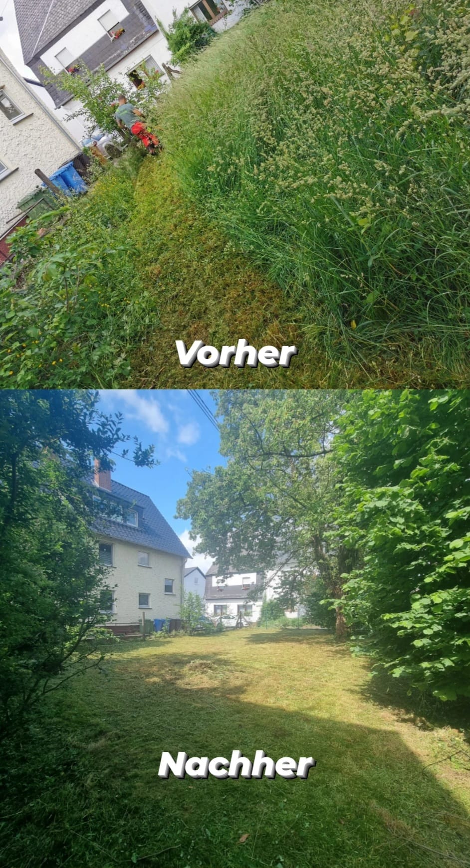 Baum- & Gartenpflege Loose in Melsbach