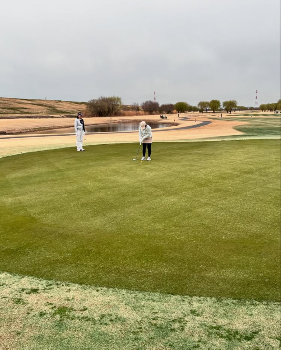 Images VZONEGOLF