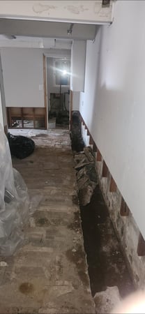 Images EZ Mitigation