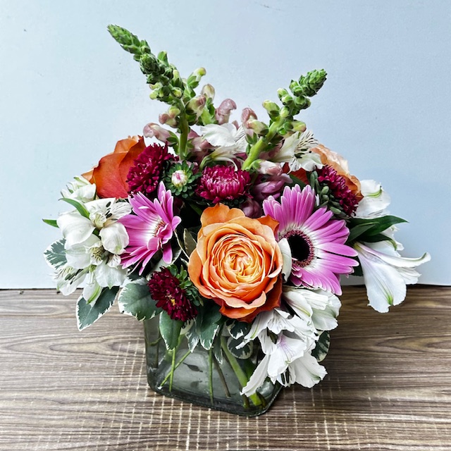 Images Jane's Roses & Flowers
