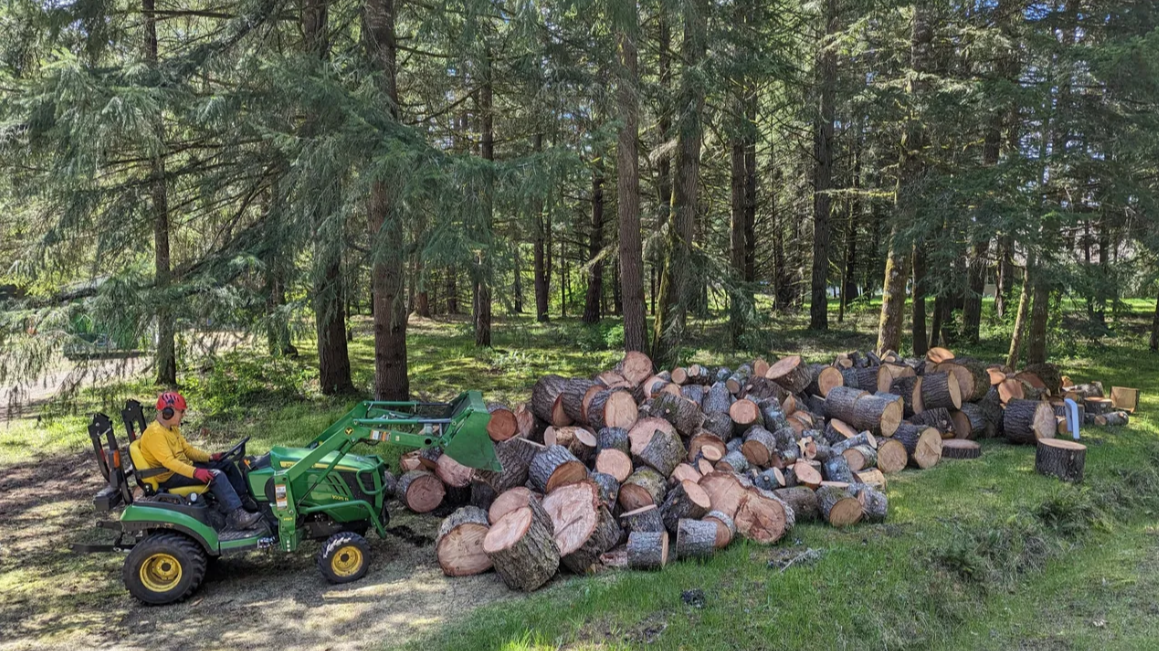 White's Tree Care Image