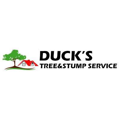 Duck's Tree & Stump Service - Aurora, IL - (815)264-2438 | ShowMeLocal.com