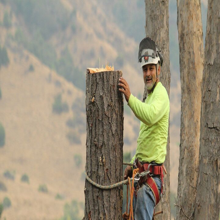 Images Urban Lumberjacks