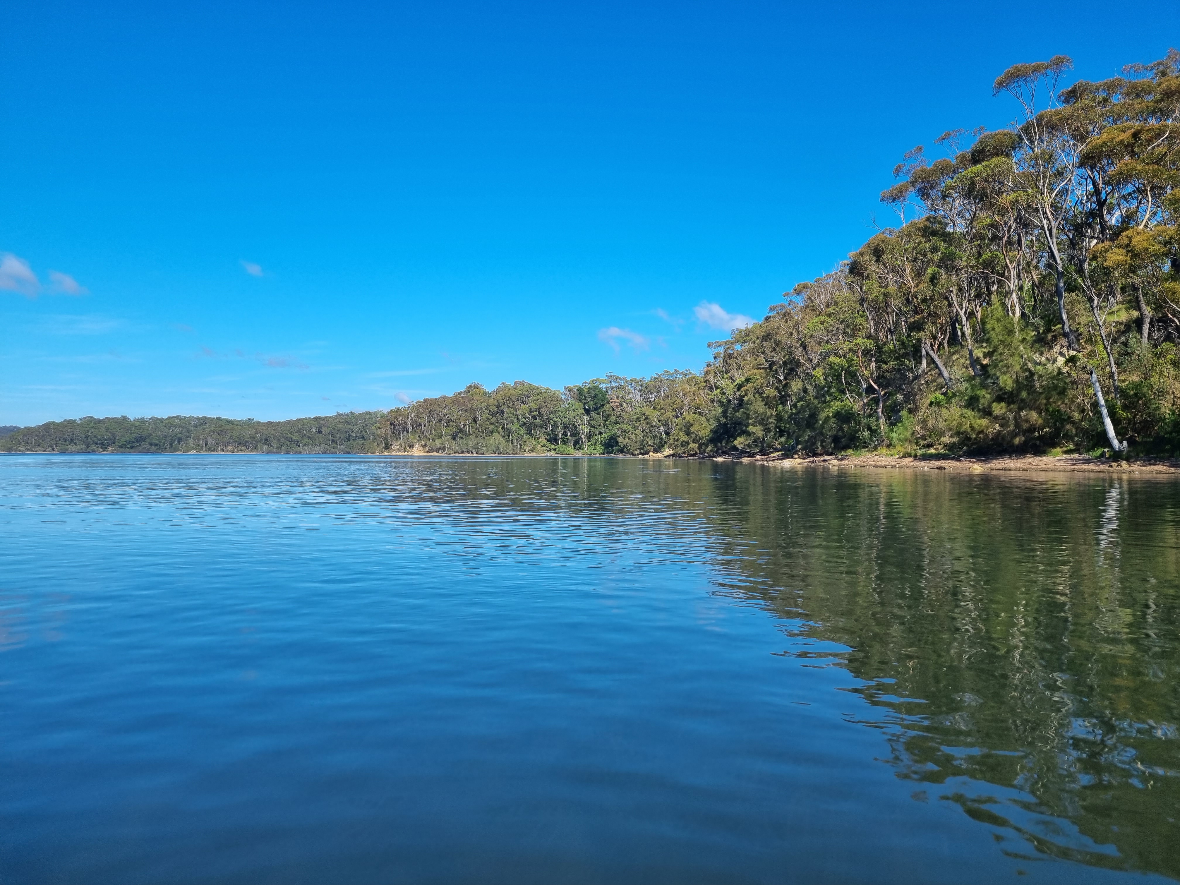Images Nowra Coaches Pty Ltd T/A Premier Motor Service