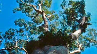 Images Kasvupolku Perita Sipiläinen Oy