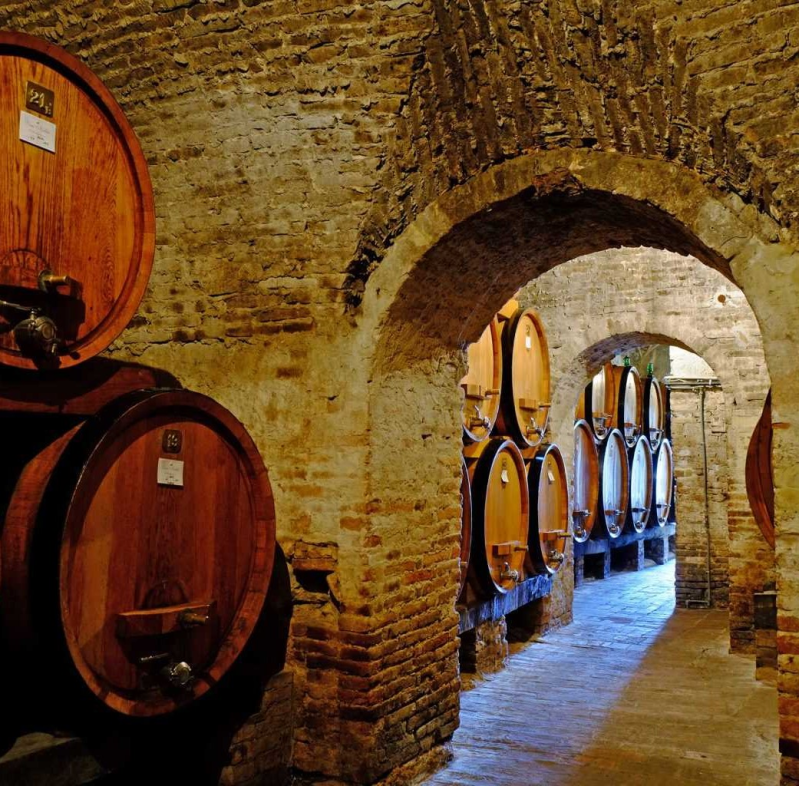 Azienda Agricola Contucci