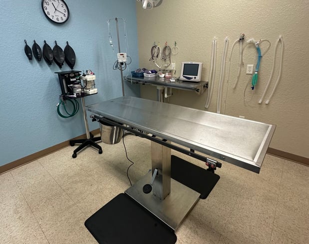 Images Marion Veterinary Hospital