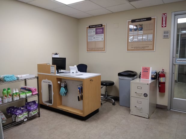 Images Petco Grooming