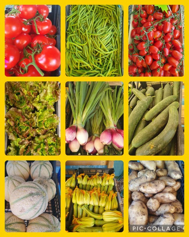 Images La Rapa Felice Azienda Agricola