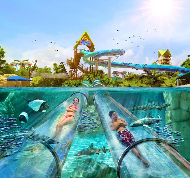 Images Staybridge Suites Orlando at Seaworld by IHG
