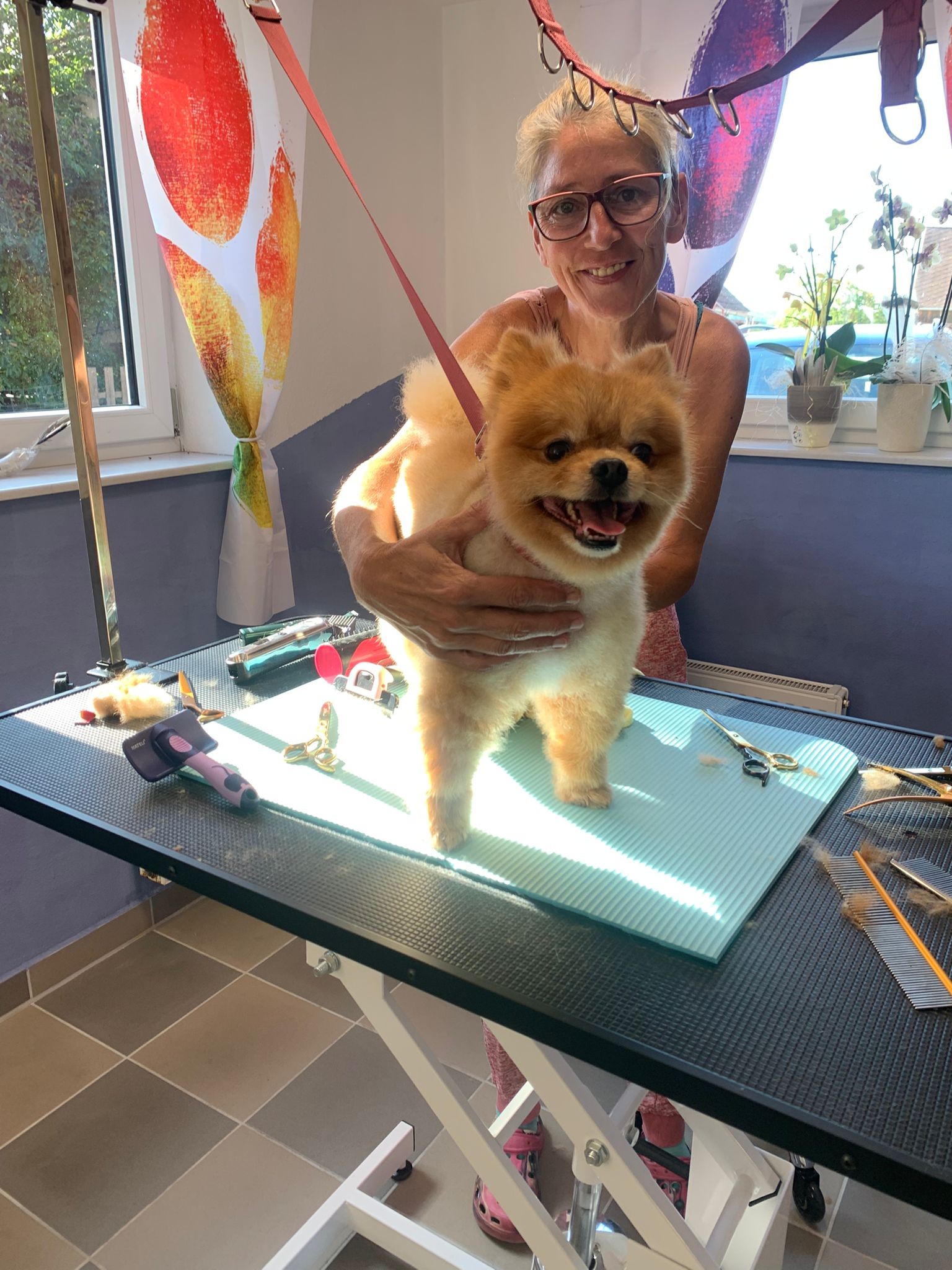 Bild 6 von Funny Crazy Dogs - Hundesalon