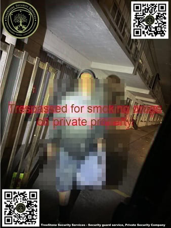 Images TreeStone Security Services