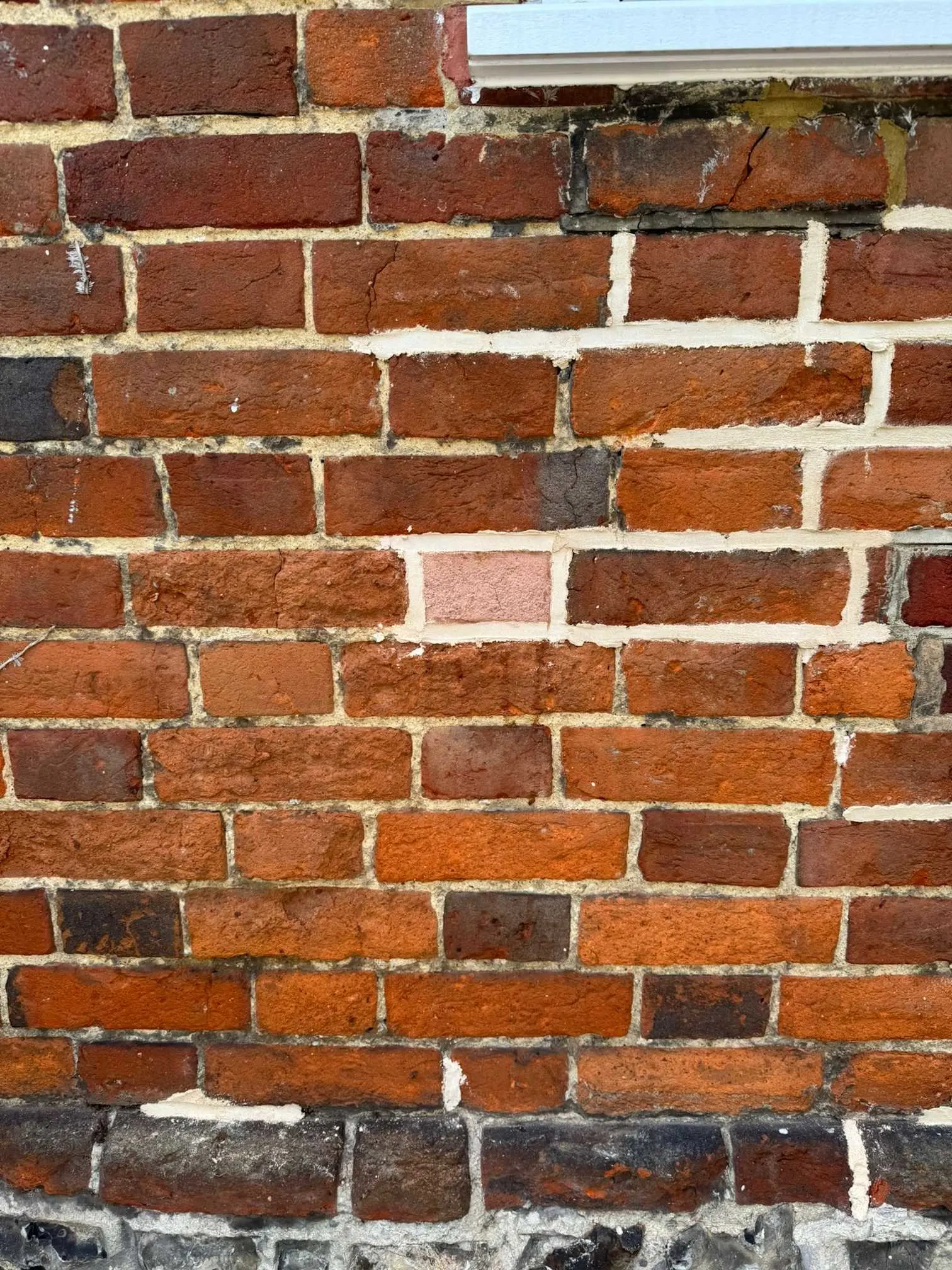Images Master Brickcare