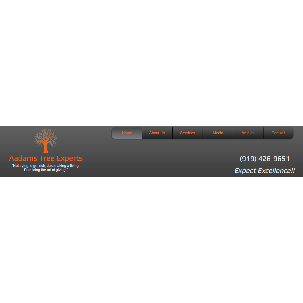 Aadams Tree & Landscaping Experts