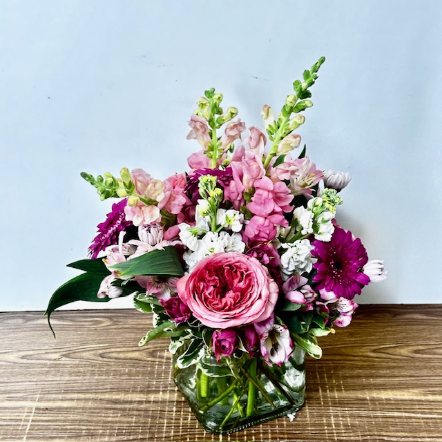 Images Jane's Roses & Flowers