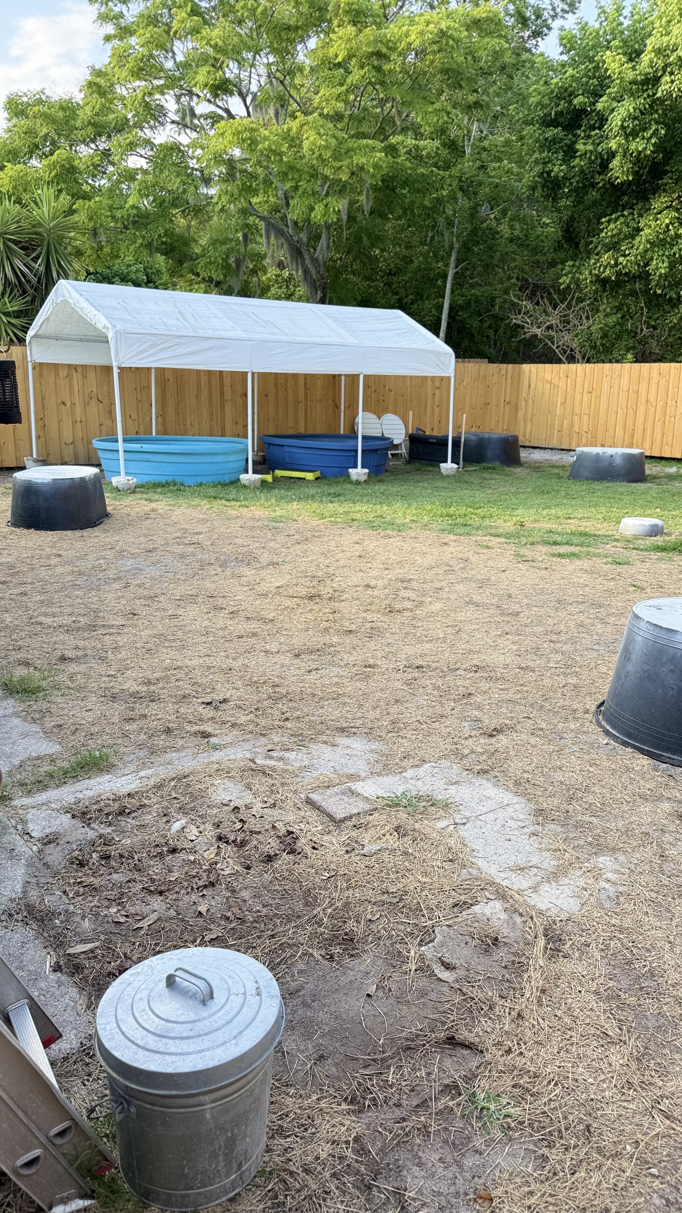 Russell's K9 Academy Image
