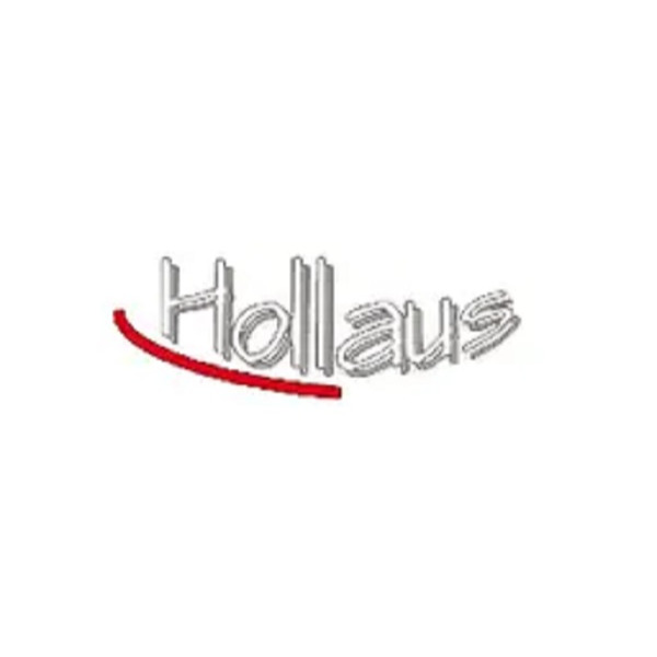 Hollaus Außenanlagen u Bau GmbH 5700 Zell am See