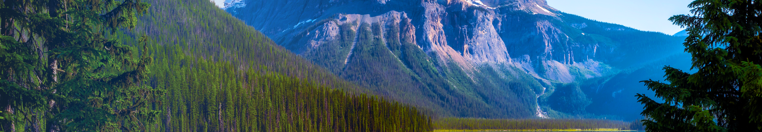 Forest and mountains at Banff National Park.