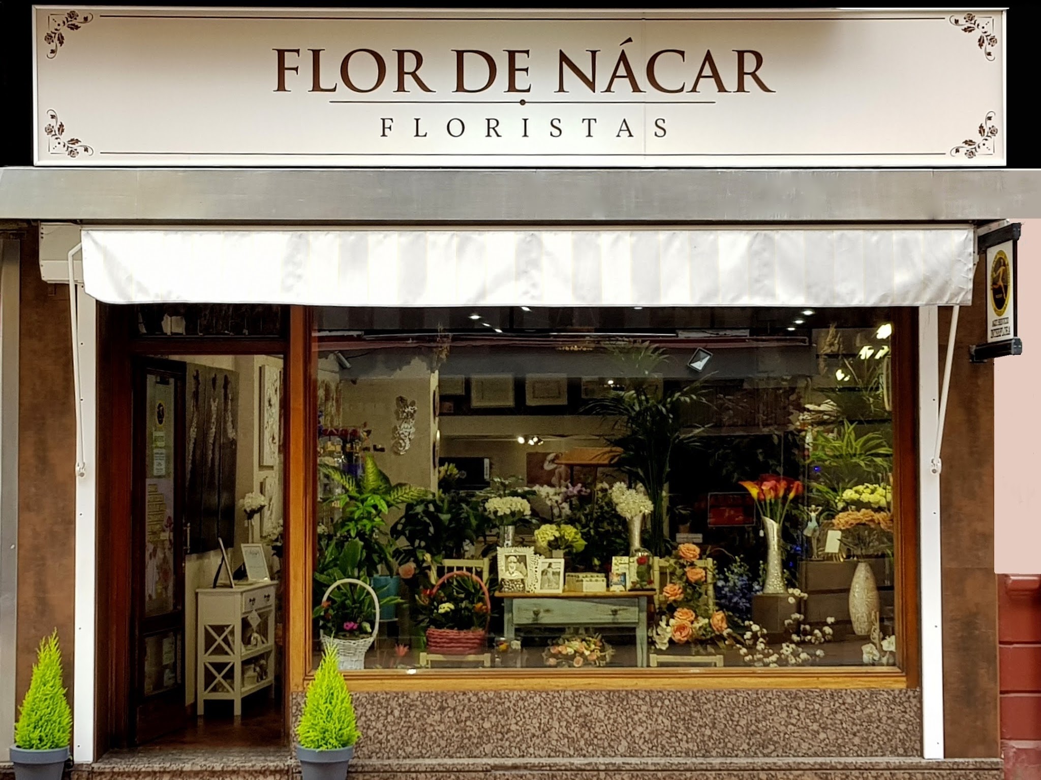 Fotos de Flor de Nácar Floristas
