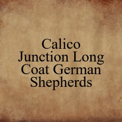 Calico Junction Long Coat German Shepherds Logo