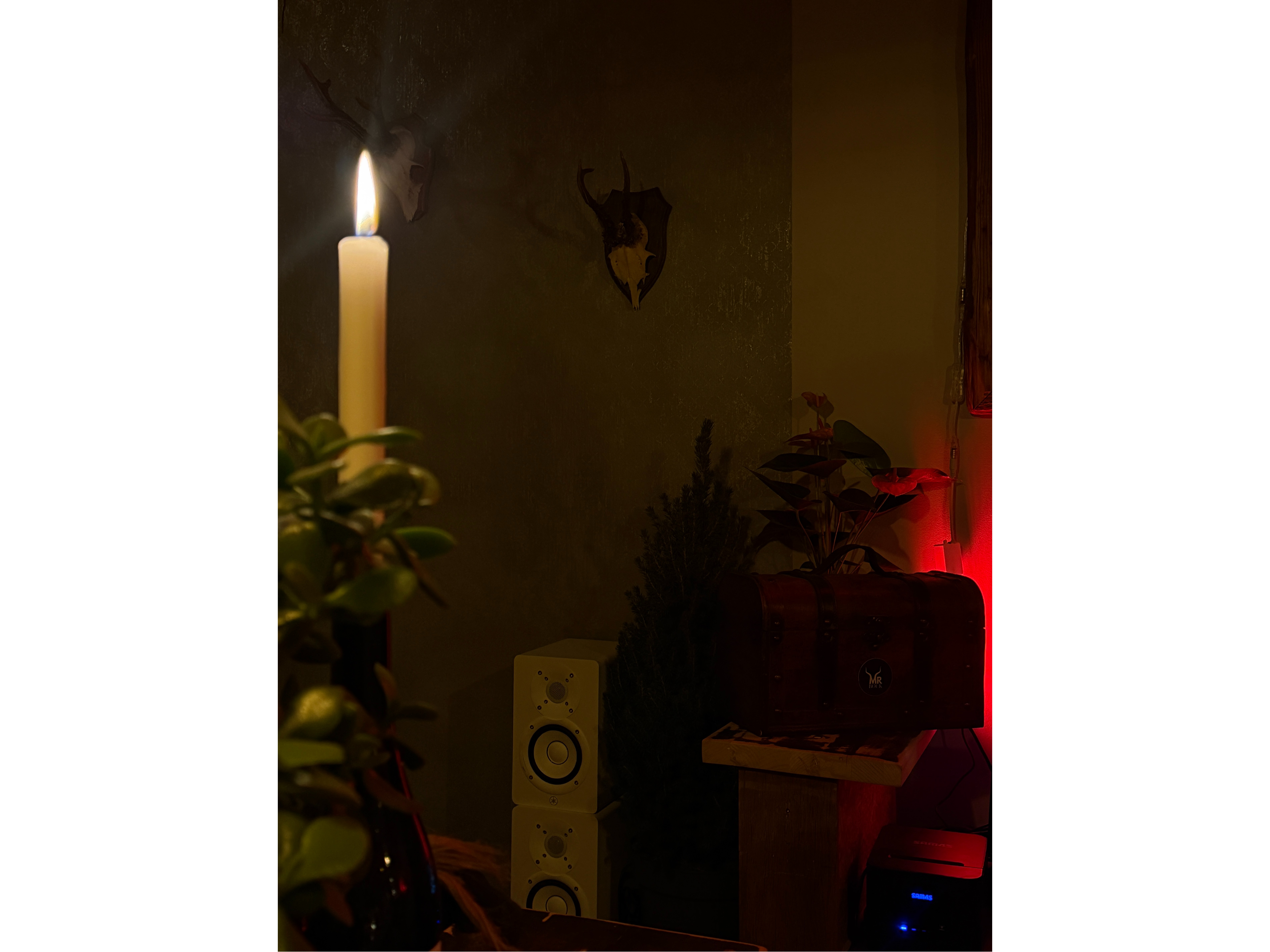 Mr. Bock, St.-Paul-Strasse 1a in München